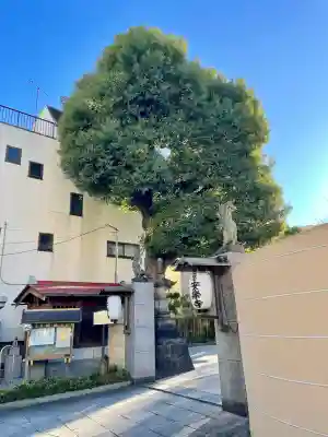 安樂寺(安楽寺)(東京都)