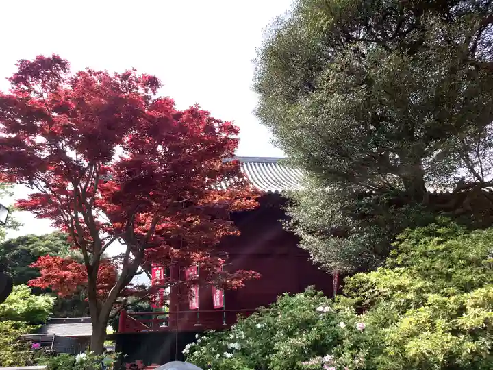 清水観音堂(東京都)