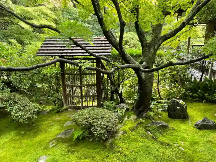 桂春院(京都府)