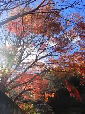 出世観音 養老山　立國寺(千葉県)