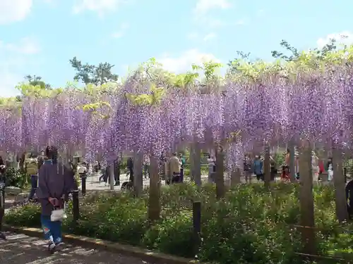 三大神社の自然