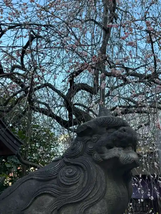 牛天神北野神社の{uncategorized: "未分類", other: "その他", undefined: "問題あり", building: "その他建物", grave: "お墓", sacred_gate: "鳥居", guardian: "狛犬", statue: "像", buddha: "仏像", history: "歴史", nature: "自然", garden: "庭園", animal: "動物", pagoda: "塔", temizu: "手水舎", mountain_gate: "山門・神門", sanctuary: "本殿・本堂", subordinate: "末社・摂社", art: "芸術", scenery: "景色", jizo: "地蔵", ema: "絵馬", goshuin: "御朱印", omikuji: "おみくじ", items: "授与品その他", amulet: "お守り", goshuincho: "御朱印帳", eats: "食事", festival: "お祭り", votive_dance: "神楽", shichigosan: "七五三参", wedding: "結婚式", experience: "体験その他", initially: "初詣", around: "周辺", anti_infection: "感染症対策"}