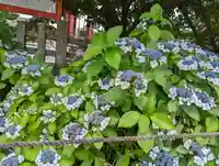 六孫王神社(京都府)