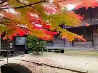 滑川神社 - 仕事と子どもの守り神の自然
