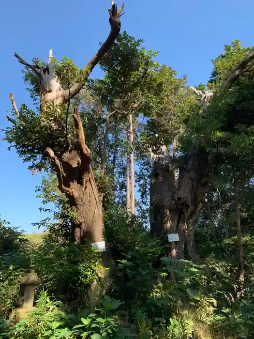 妙見神社の建物その他