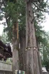 三峯神社の自然