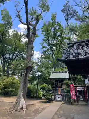 千束八幡神社(東京都)