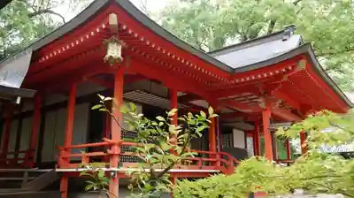 大覚寺のその他建物