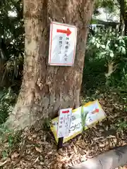 枚岡神社の周辺