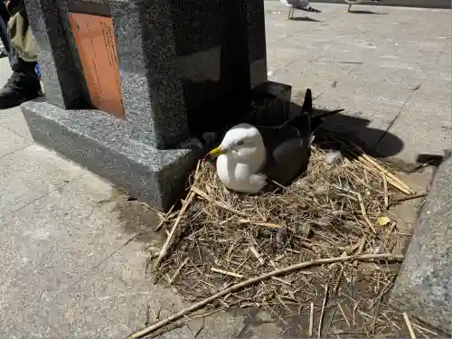 蕪嶋神社(青森県)