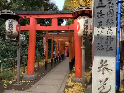 花園稲荷神社の鳥居