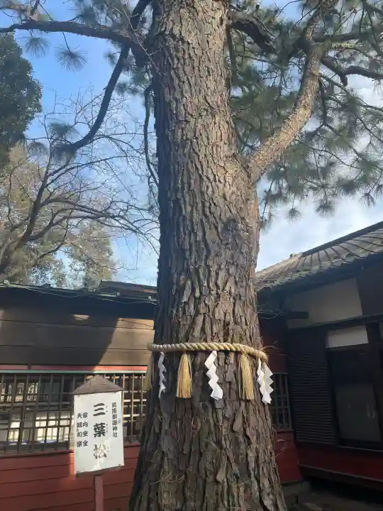 前原御嶽神社の{uncategorized: "未分類", other: "その他", undefined: "問題あり", building: "その他建物", grave: "お墓", sacred_gate: "鳥居", guardian: "狛犬", statue: "像", buddha: "仏像", history: "歴史", nature: "自然", garden: "庭園", animal: "動物", pagoda: "塔", temizu: "手水舎", mountain_gate: "山門・神門", sanctuary: "本殿・本堂", subordinate: "末社・摂社", art: "芸術", scenery: "景色", jizo: "地蔵", ema: "絵馬", goshuin: "御朱印", omikuji: "おみくじ", items: "授与品その他", amulet: "お守り", goshuincho: "御朱印帳", eats: "食事", festival: "お祭り", votive_dance: "神楽", shichigosan: "七五三参", wedding: "結婚式", experience: "体験その他", initially: "初詣", around: "周辺", anti_infection: "感染症対策"}