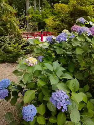 越中一宮 髙瀬神社の庭園