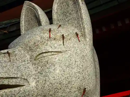 白狐山光星寺の動物