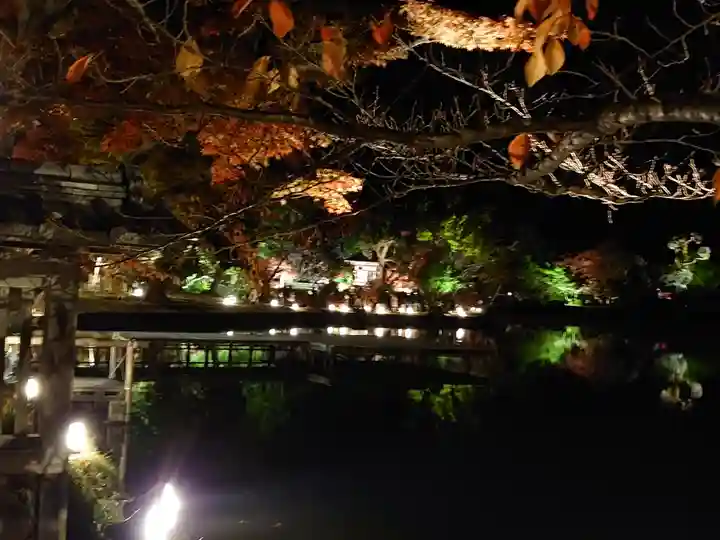 大覚寺の庭園