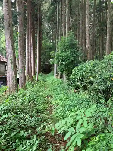 田野原箒根神社(栃木県)