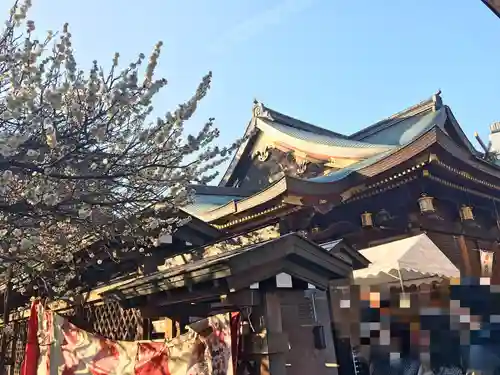 湯島天満宮の本殿・本堂