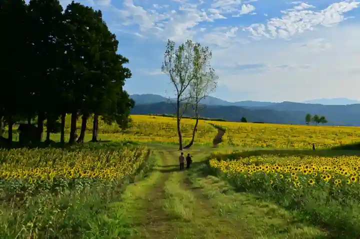 沢山神社(澤山神社)(新潟県)