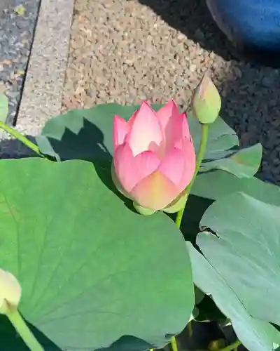 上行寺(静岡県)