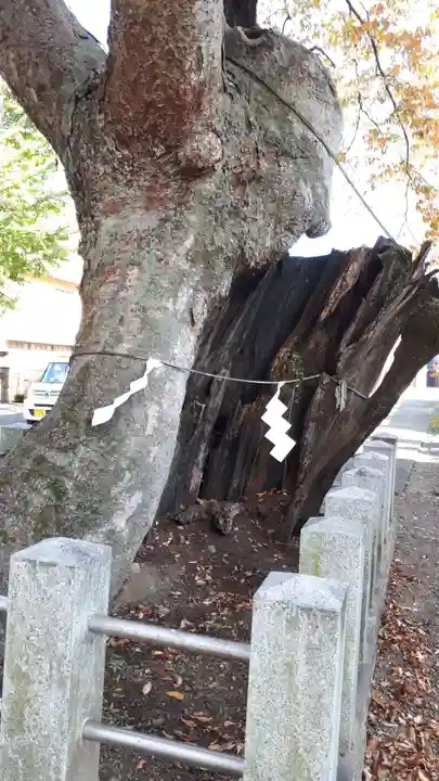 阿邪訶根神社の自然