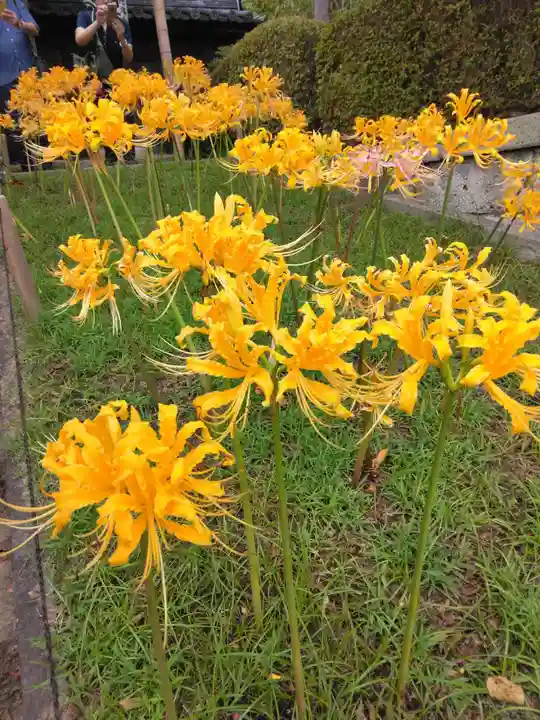 横浜 西方寺(神奈川県)