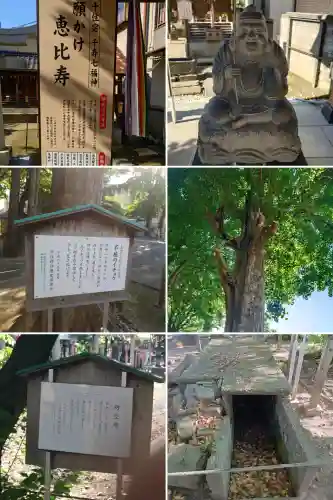 千住神社の{uncategorized: "未分類", other: "その他", undefined: "問題あり", building: "その他建物", grave: "お墓", sacred_gate: "鳥居", guardian: "狛犬", statue: "像", buddha: "仏像", history: "歴史", nature: "自然", garden: "庭園", animal: "動物", pagoda: "塔", temizu: "手水舎", mountain_gate: "山門・神門", sanctuary: "本殿・本堂", subordinate: "末社・摂社", art: "芸術", scenery: "景色", jizo: "地蔵", ema: "絵馬", goshuin: "御朱印", omikuji: "おみくじ", items: "授与品その他", amulet: "お守り", goshuincho: "御朱印帳", eats: "食事", festival: "お祭り", votive_dance: "神楽", shichigosan: "七五三参", wedding: "結婚式", experience: "体験その他", initially: "初詣", around: "周辺", anti_infection: "感染症対策"}