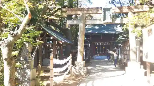 赤坂氷川神社の鳥居