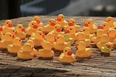 阿邪訶根神社の手水舎