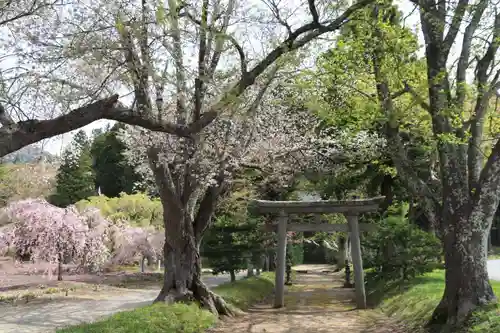 白幡八幡神社の鳥居