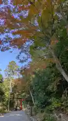 吉田神社(京都府)