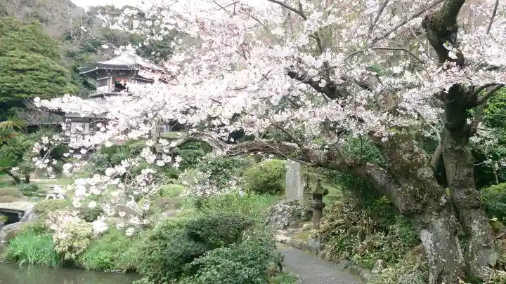 光明寺の{uncategorized: "未分類", other: "その他", undefined: "問題あり", building: "その他建物", grave: "お墓", sacred_gate: "鳥居", guardian: "狛犬", statue: "像", buddha: "仏像", history: "歴史", nature: "自然", garden: "庭園", animal: "動物", pagoda: "塔", temizu: "手水舎", mountain_gate: "山門・神門", sanctuary: "本殿・本堂", subordinate: "末社・摂社", art: "芸術", scenery: "景色", jizo: "地蔵", ema: "絵馬", goshuin: "御朱印", omikuji: "おみくじ", items: "授与品その他", amulet: "お守り", goshuincho: "御朱印帳", eats: "食事", festival: "お祭り", votive_dance: "神楽", shichigosan: "七五三参", wedding: "結婚式", experience: "体験その他", initially: "初詣", around: "周辺", anti_infection: "感染症対策"}