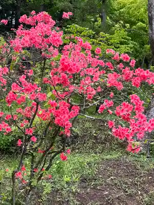毛越寺(岩手県)