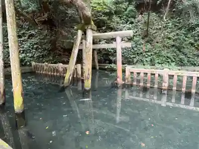 鹿島神宮(茨城県)