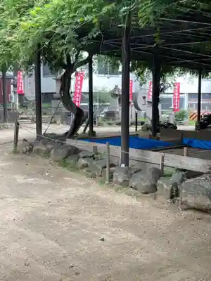 葛井寺(大阪府)