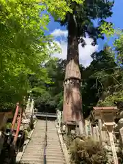 由岐神社(京都府)