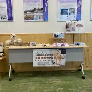 メノコト神社(京都府)(2026年04月05日(日) 11時22分33秒投稿)