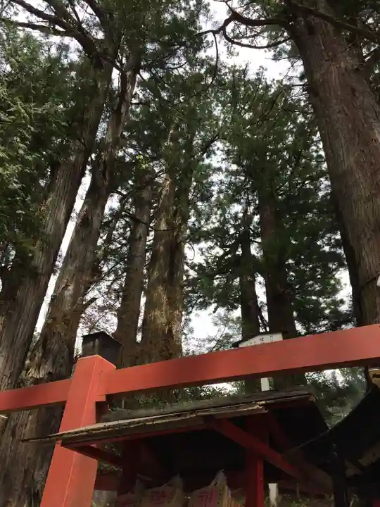 日光二荒山神社(栃木県)