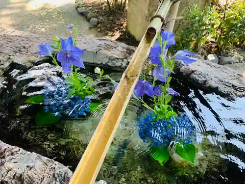 阿智神社の手水