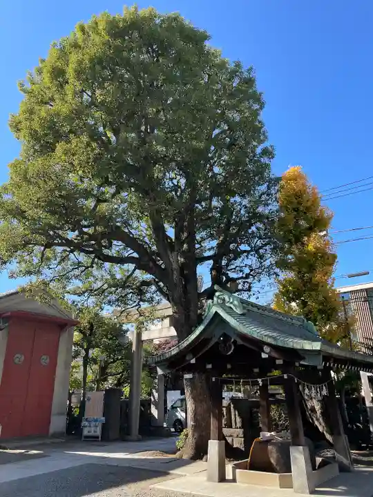麻布氷川神社(東京都)
