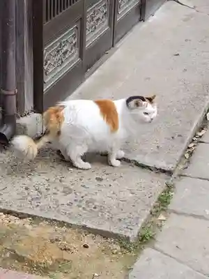 阿邪訶根神社(福島県)