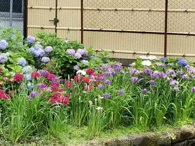 磐井神社(東京都)