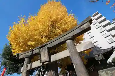 晴門田神社の鳥居