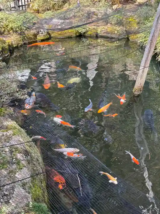 櫻山八幡宮(岐阜県)