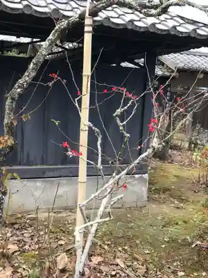 東慶寺のその他建物