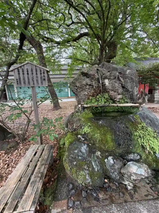 藤森神社の{uncategorized: "未分類", other: "その他", undefined: "問題あり", building: "その他建物", grave: "お墓", sacred_gate: "鳥居", guardian: "狛犬", statue: "像", buddha: "仏像", history: "歴史", nature: "自然", garden: "庭園", animal: "動物", pagoda: "塔", temizu: "手水舎", mountain_gate: "山門・神門", sanctuary: "本殿・本堂", subordinate: "末社・摂社", art: "芸術", scenery: "景色", jizo: "地蔵", ema: "絵馬", goshuin: "御朱印", omikuji: "おみくじ", items: "授与品その他", amulet: "お守り", goshuincho: "御朱印帳", eats: "食事", festival: "お祭り", votive_dance: "神楽", shichigosan: "七五三参", wedding: "結婚式", experience: "体験その他", initially: "初詣", around: "周辺", anti_infection: "感染症対策"}