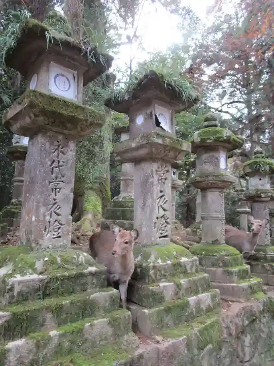 春日大社(奈良県)