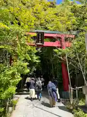 來宮神社の鳥居