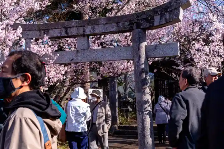 新城藤原神社(長野県)
