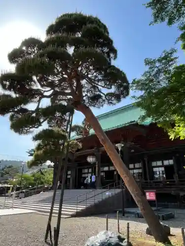 護国寺(東京都)