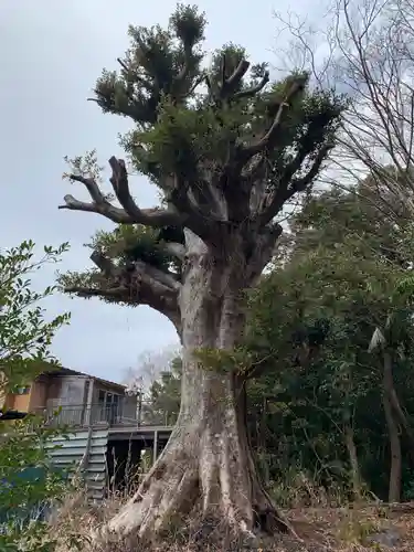 水神社(千葉県)